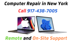 Computer Repair (remote services)