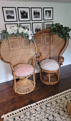 Baby shower chair. Peacock Chair. Rental Only