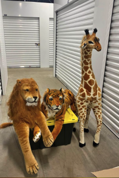 Safari Animals Stuffed for Rent