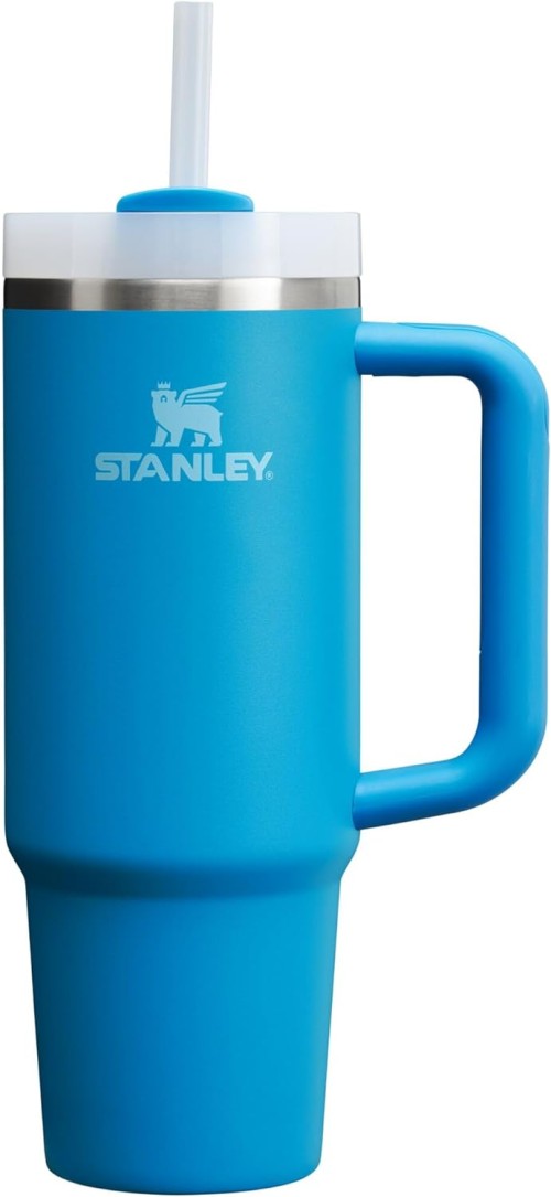 Stanley Quencher H2.0 FlowState Stainless Steel Vacuum Insulated Tumbler with Lid