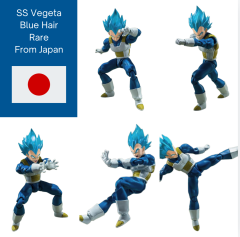 Super Saiyan Vegeta - Pride of Penetrating Saiyan