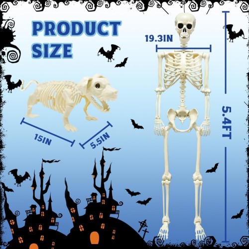 5.4Ft Posable Halloween Skeleton, Full Body Life Size Skeleton with Dog Skeleton for Halloween Spooky Party Props Decor