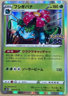 Pokemon Go Venasaur