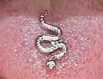 Snake Tongue Ring