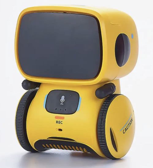 Intelligent Interactive Robot