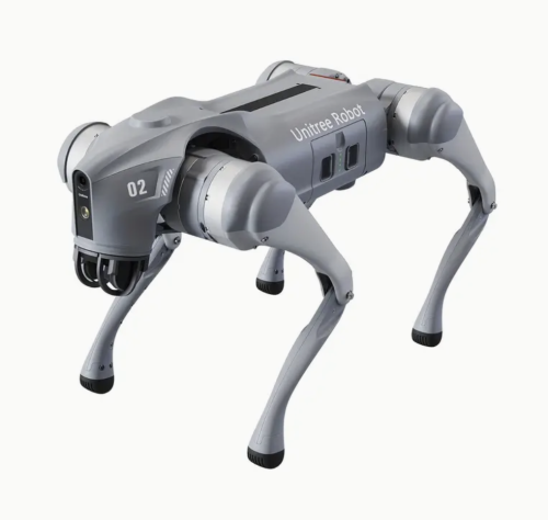 Robot Dog