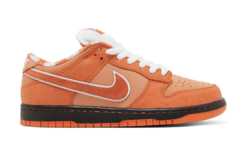 Concepts x Dunk Low SB