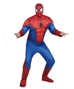 SpiderMan Costume