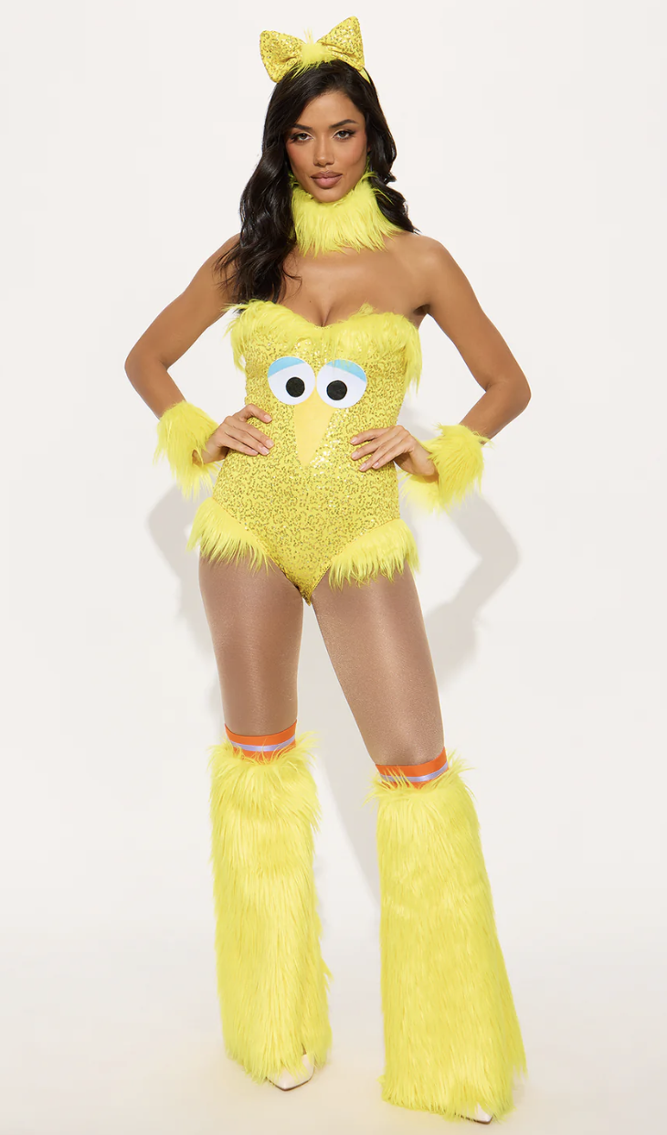 Big Bird Costume