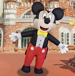 Disney Mickey Inflatable Costume