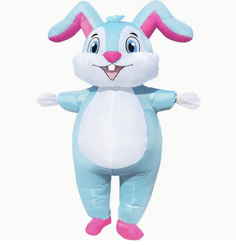 Blue and Pink Bunny Costume
