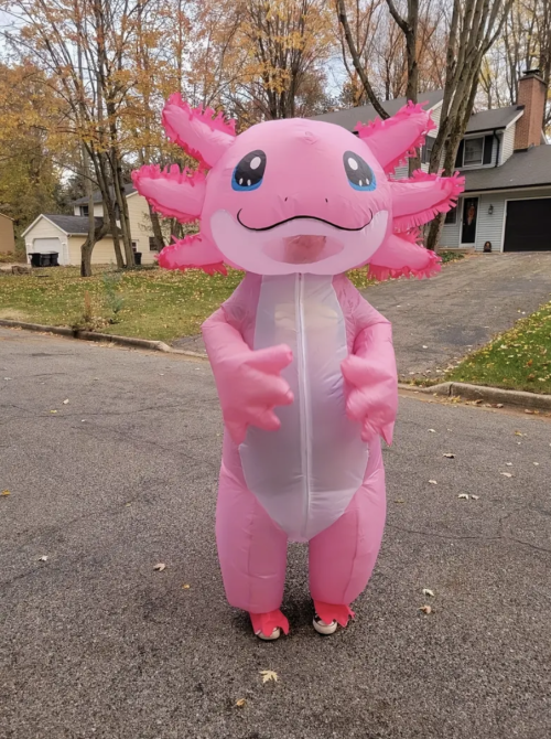 Pink Inflatable Axolotl Costume