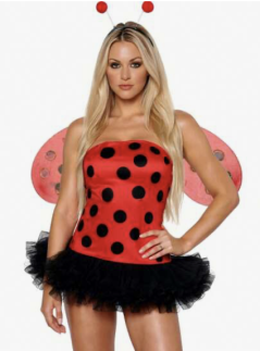 Red Ladybug Costume
