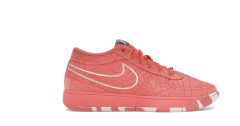 Nike Book 1 “Sedona”