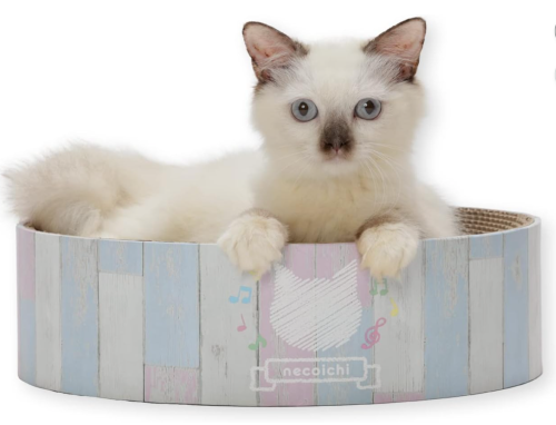 Necoichi BariBari (Scratch) Bowl, For Kittens