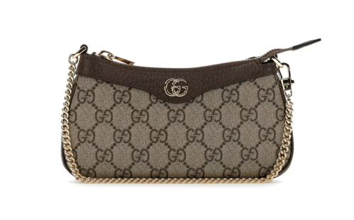 Gucci Ophidia Mini Bag