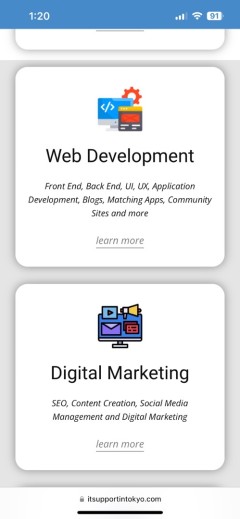 SEO consulting