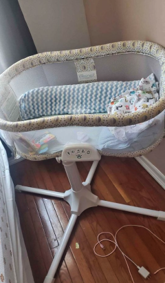 Baby bouncer