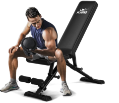 Weight Bench