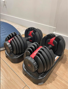 Bowflex Adjustable Dumbbells & Bosu Ball