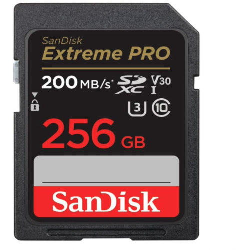 Memory Card 256GB