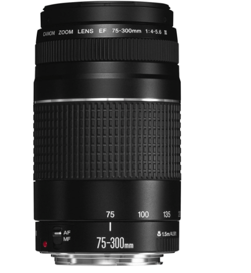 Canon Zoom Lens