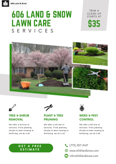 Yard Care / Yard Clean Up