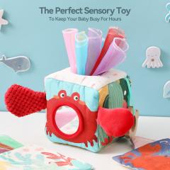 Educational Sensory Tissue Box Toy For Children