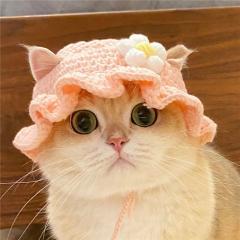 Knitted Hat For Pet Cats And Puppies