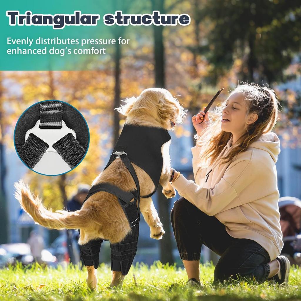 Pet Dog Rear Leg Protective Gear