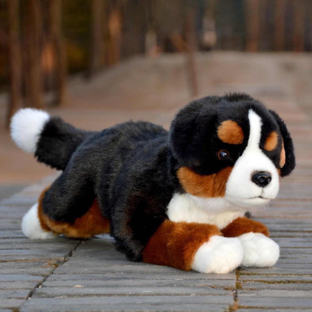 Soothes The Doll And Sleeps With It