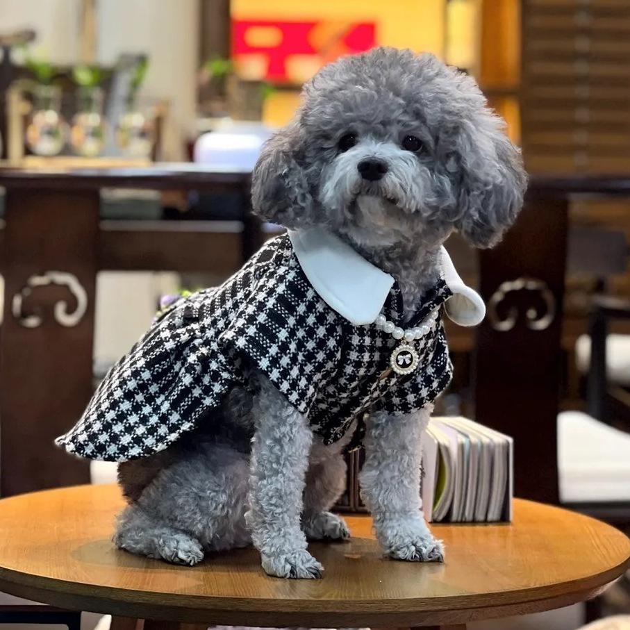 Trendy Warm Pet Clothes For Dogs And Cats